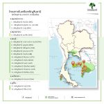 โครงการเจริญสินธานี 18 โครงการ